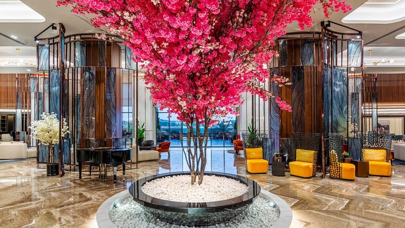 Calyptus Kirman Premium